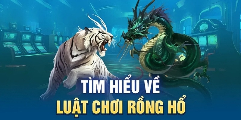 rong-ho-luat